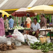 PNG moves toward a national standard for black soldier fly farming